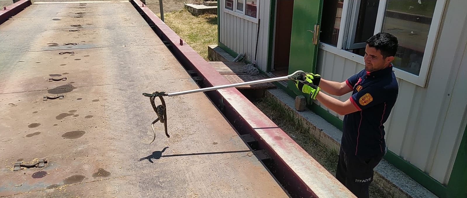 TMO BAHÇESİNE GİREN YILAN YAKALANDI