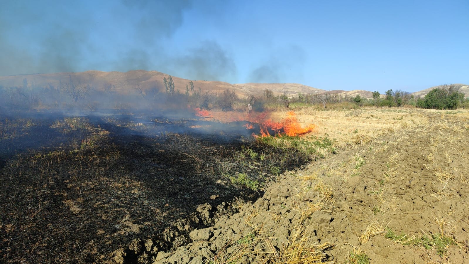 KAYAAĞZI KÖYÜNDE ANIZ YANGINI