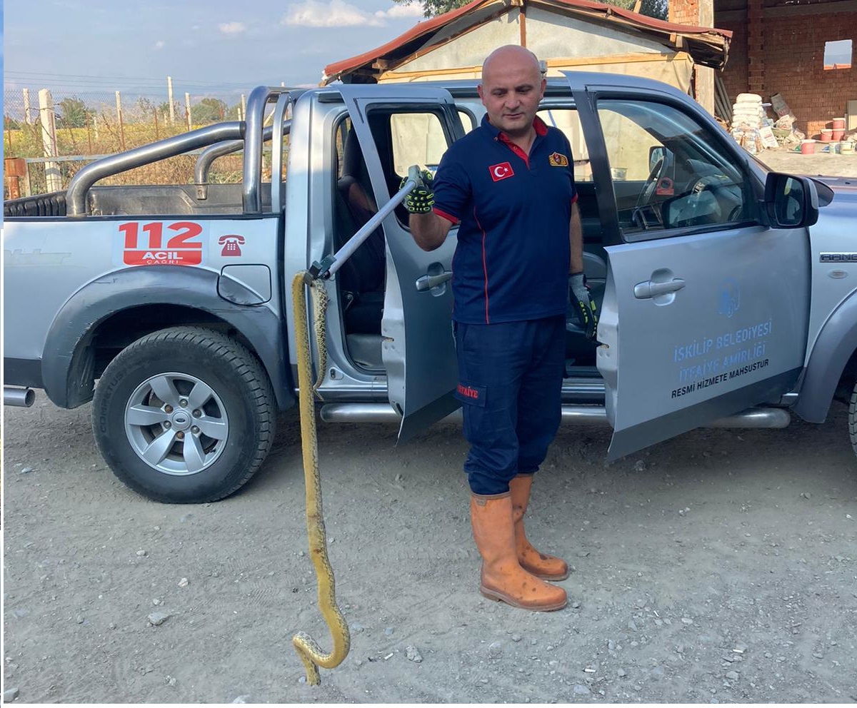 ÇUKURKÖY’DE EVE YILAN GİRDİ