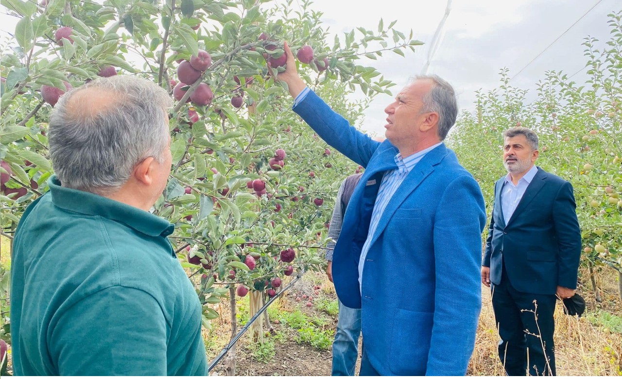 ÇORUM’DAN 14 ÜLKEYE ELMA İHRACATI!