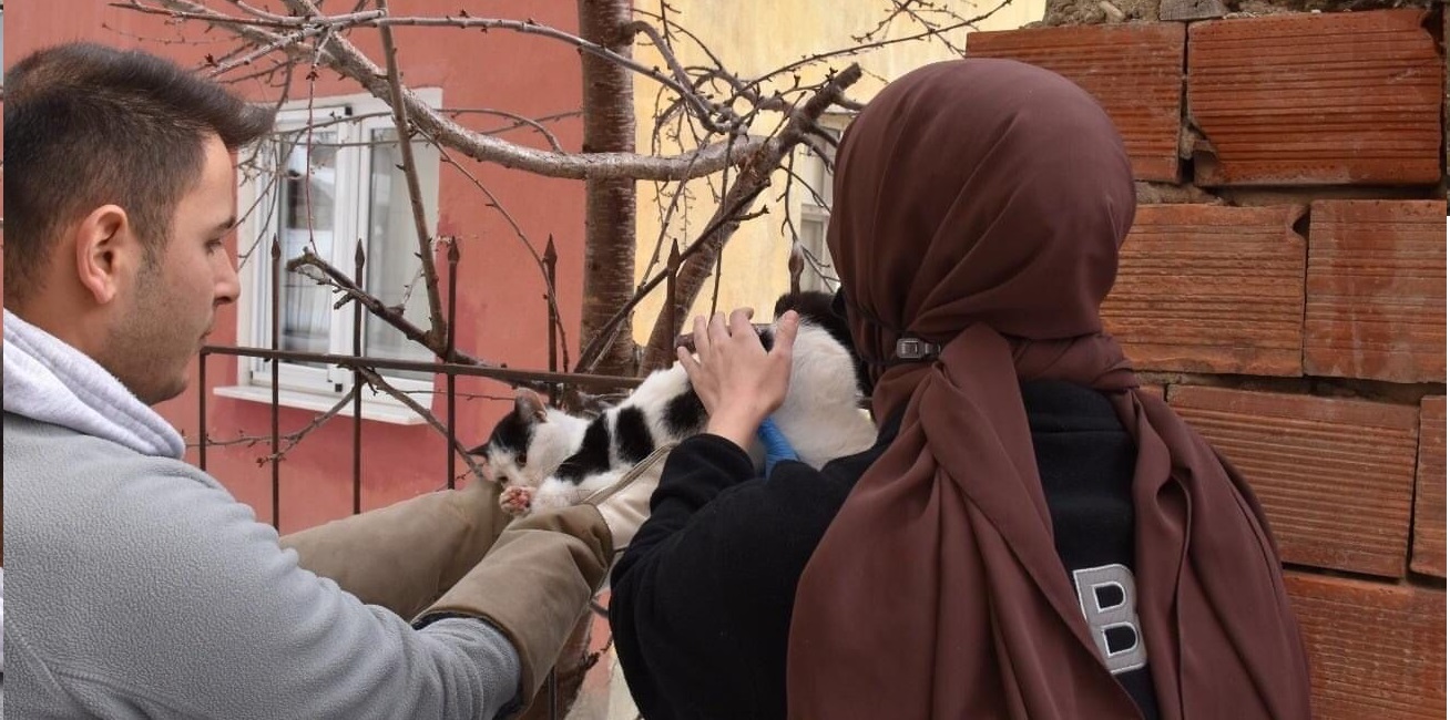 YARALI KEDİYİ BELEDİYE EKİPLERİ KURTARDI