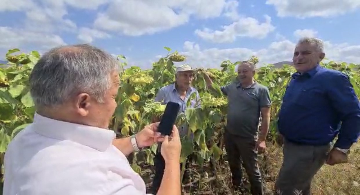 CEYLAN’IN TEMİN ETTİĞİ AYÇİÇEĞİ TOHUMLARINDAN DÖNÜME 450 KİLOGRAM VERİM ALINACAK