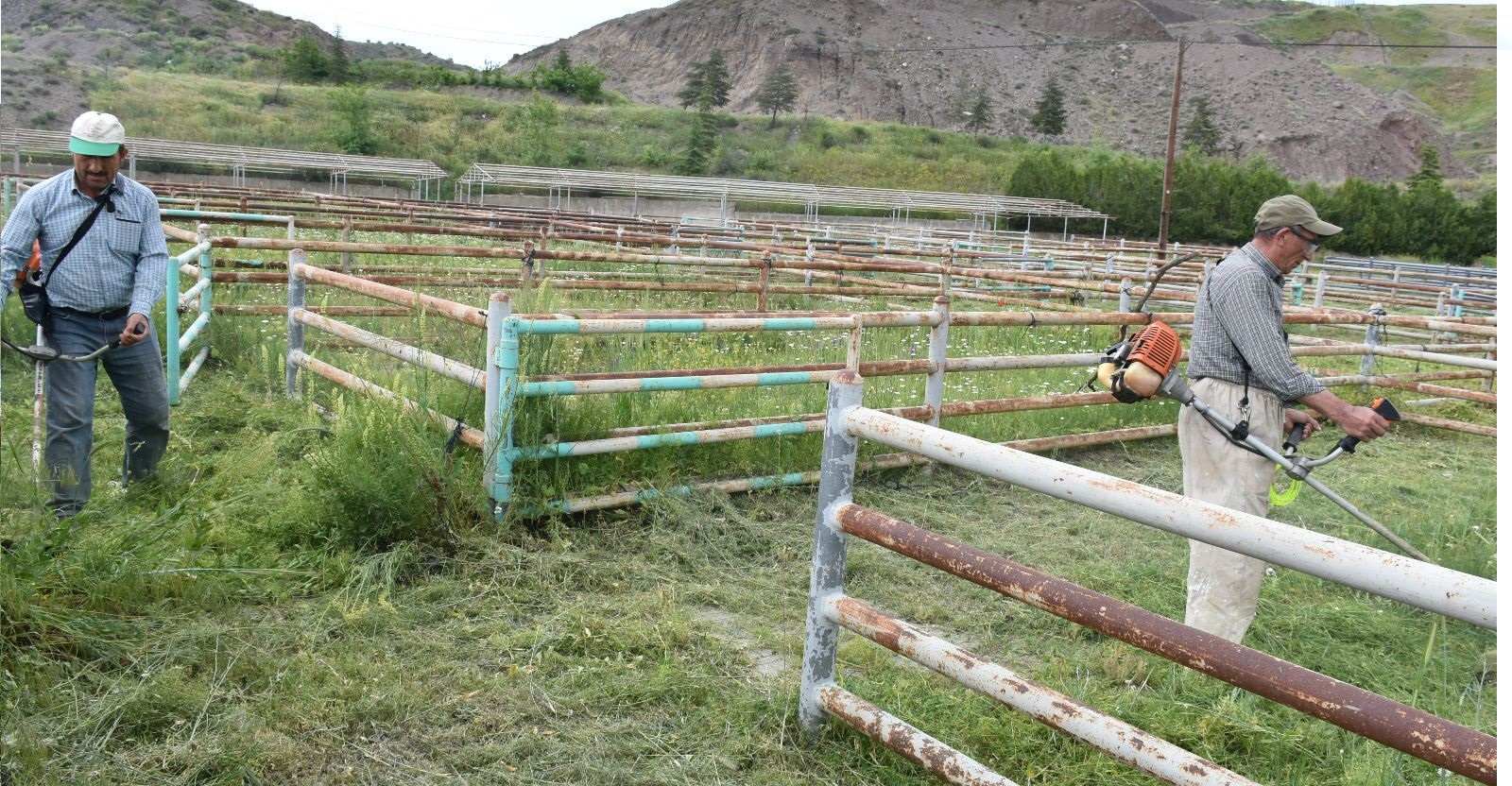 HAYVAN PAZARINDA BAKIM ONARIM ÇALIŞMASI