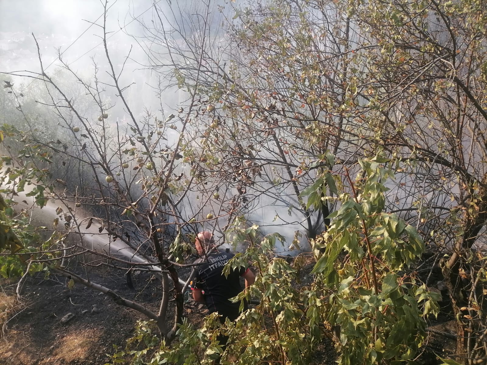 MEZARLIKTA ÇIKAN YANGIN KORKUTTU