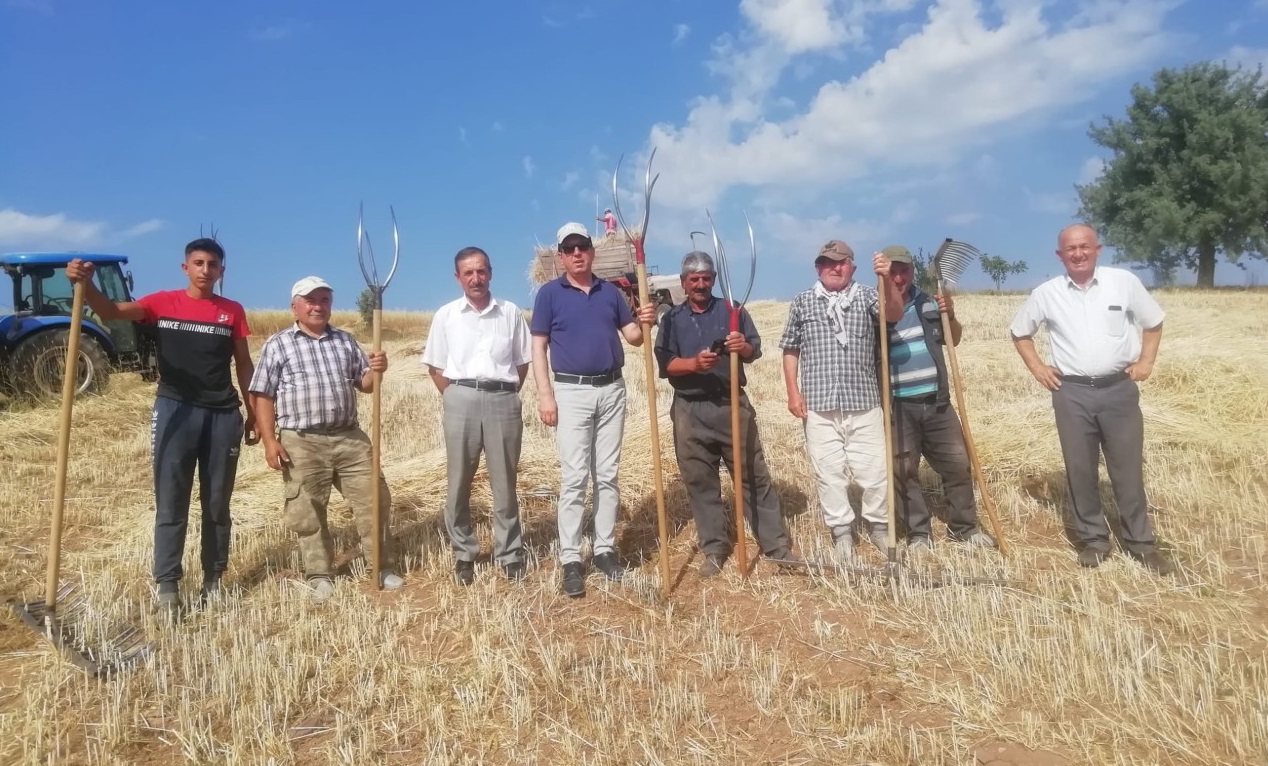 OĞUZLAR BELEDİYE BAŞKANI ÇİFTÇİLERLE HARMANA GİRDİ