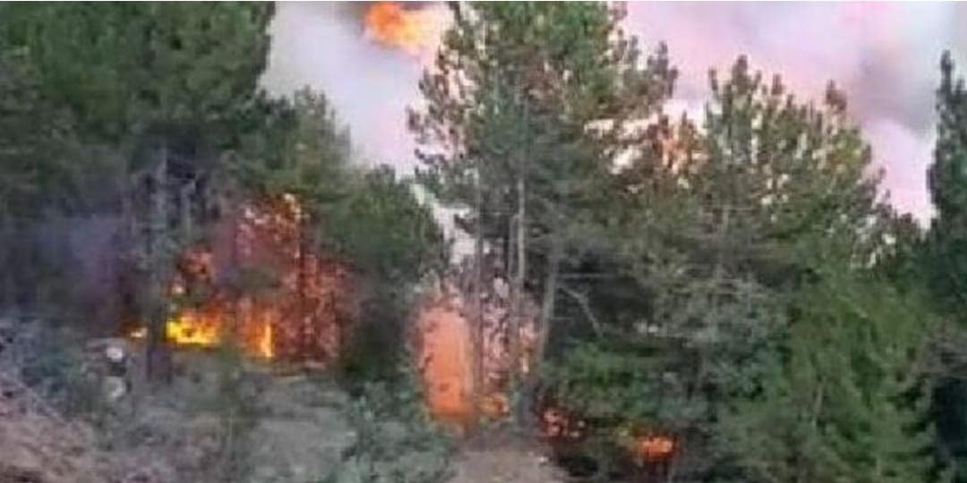 BAYAT'TA ORMAN YANGINI