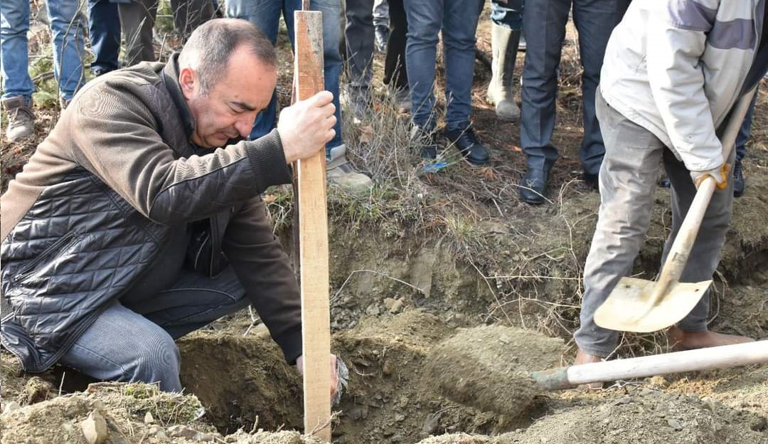 CEVİZ ORMANI PROJESİ HAYATA GEÇİRİLDİ