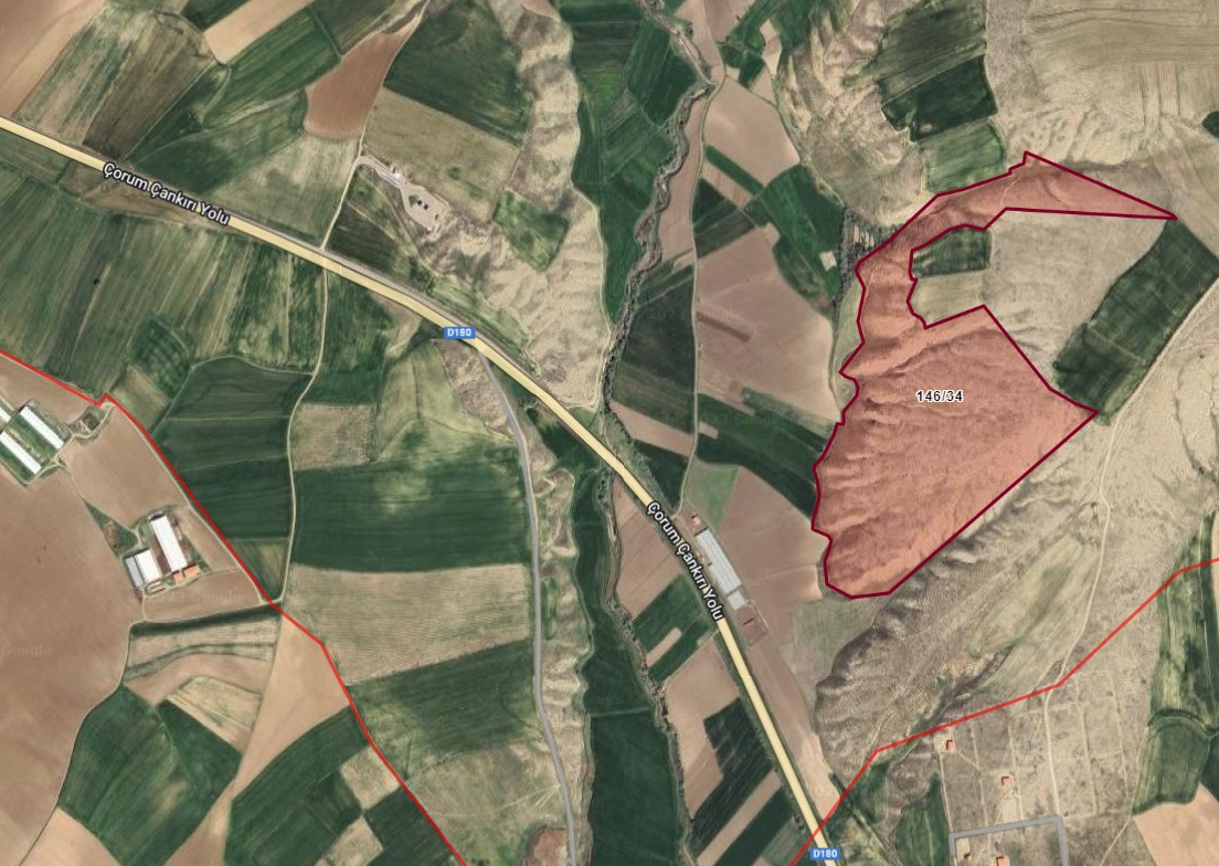 Hayvan Bakımevi ve Doğal Yaşam Parkı kuruluyor