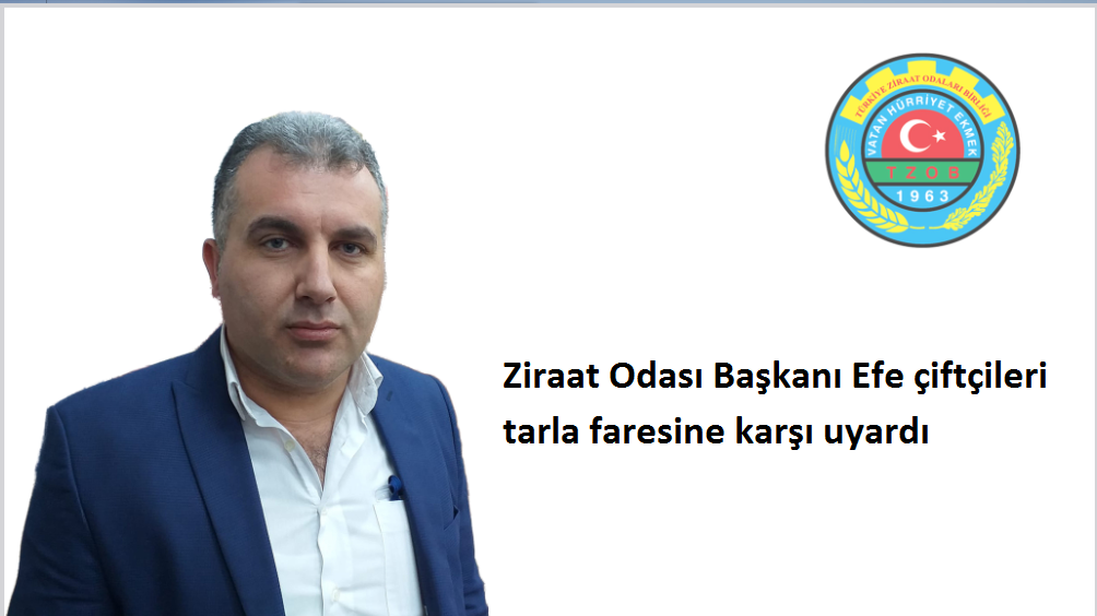  Ziraat Odası Başkanı Efe çiftçileri tarla faresine karşı uyardı