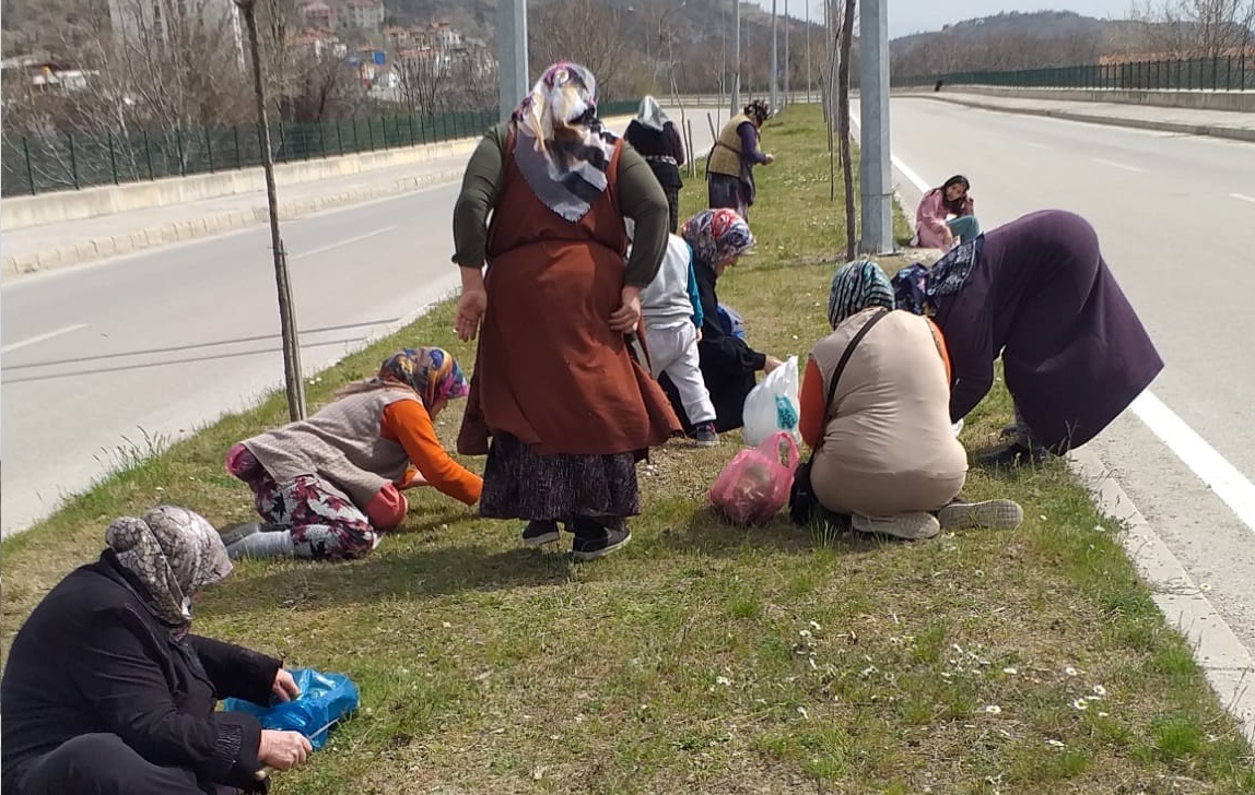 İSKİLİP TOPRAKLARINDAN ŞİFA FIŞKIRIYOR