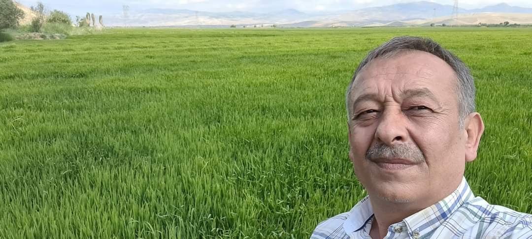 ÇELTİKTE YANIKLIK HASTALIĞI İLE MÜCADELE BAŞLADI