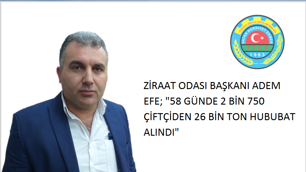 İSKİLİP'TE 26 BİN TON HUBUBAT ALIMI YAPILDI