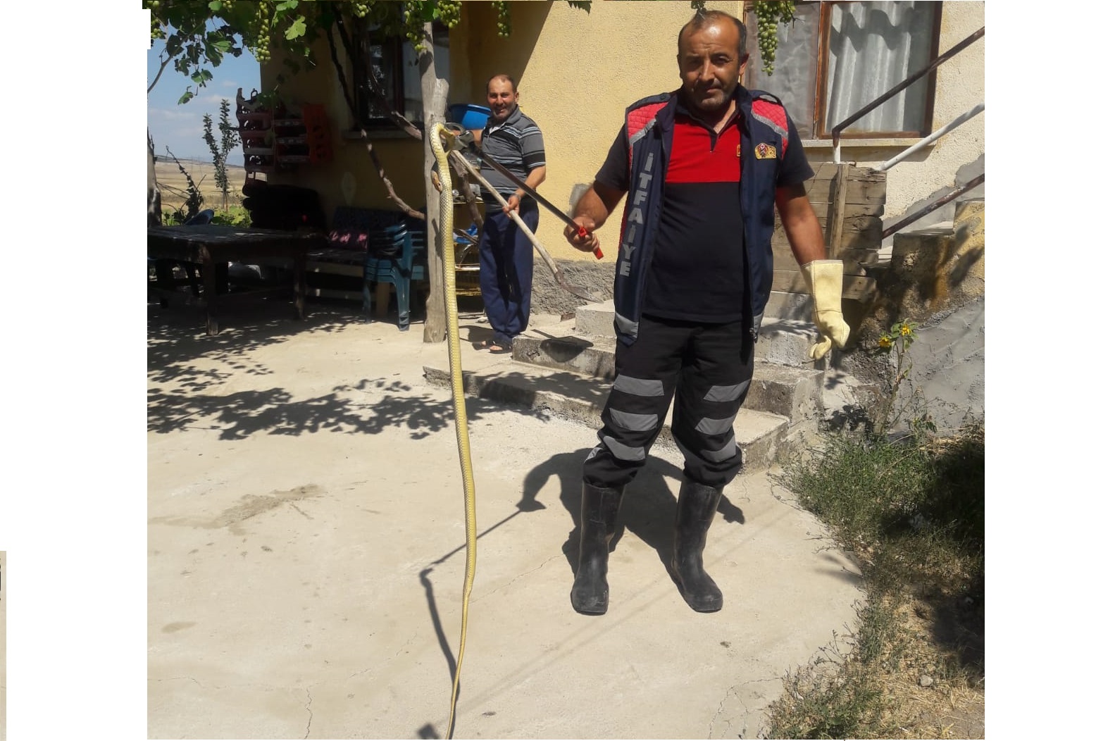 EVE GİREN YILANI BAYAT İTFAİYESİ ÇIKARDI